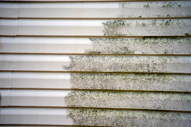 Siding for Multi-Family Homes in Minerva, OH